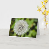 Dandelion, carte (Fleur jaune)