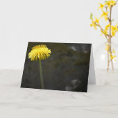 Dandelion, carte (Fleur jaune)