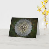 Dandelion, carte (Fleur jaune)