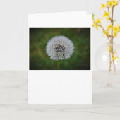 Dandelion, carte (Fleur jaune)