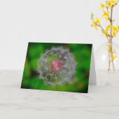 Dandelion, carte (Fleur jaune)