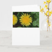 Dandelion, carte (Fleur jaune)