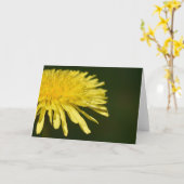 Dandelion, carte (Fleur jaune)