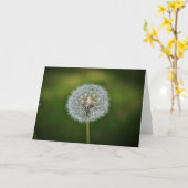 Dandelion, carte (Fleur jaune)
