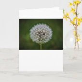 Dandelion, carte (Fleur jaune)