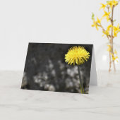 Dandelion, carte (Fleur jaune)