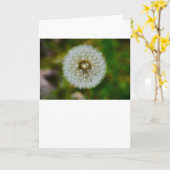 Dandelion, carte (Fleur jaune)