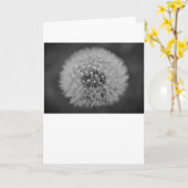 Dandelion, carte (Fleur jaune)
