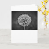 Dandelion, carte (Fleur jaune)