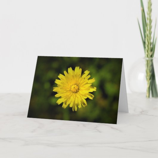 Dandelion, carte (Devant)