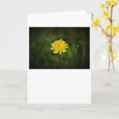 Dandelion, carte (Fleur jaune)
