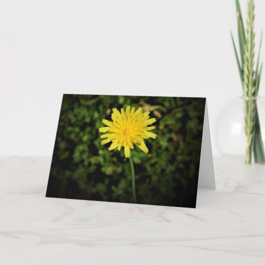 Dandelion, carte (Devant)