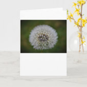 Dandelion, carte (Fleur jaune)