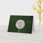 Dandelion, carte (Fleur jaune)