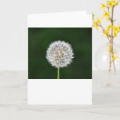 Dandelion, carte (Fleur jaune)