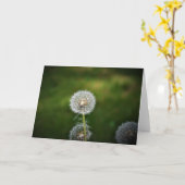 Dandelion, carte (Fleur jaune)