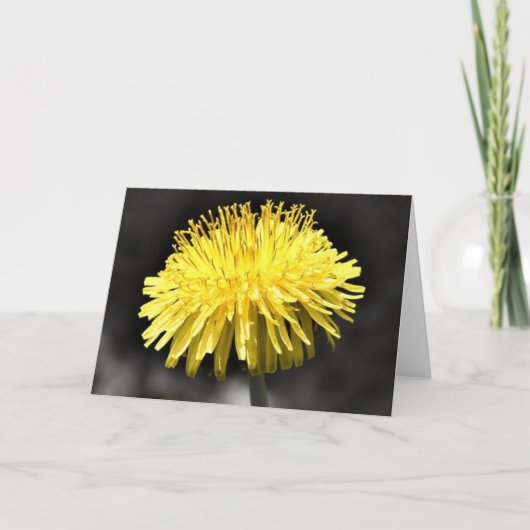 Dandelion, carte (Devant)