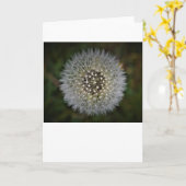 Dandelion, carte (Fleur jaune)