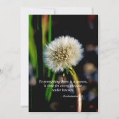 Dandelion Celebration of Life Invitation Scripture Kaart (Voorkant)