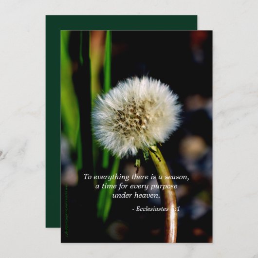 Dandelion Celebration of Life Invitation Scripture Kaart (Voorkant / Achterkant)