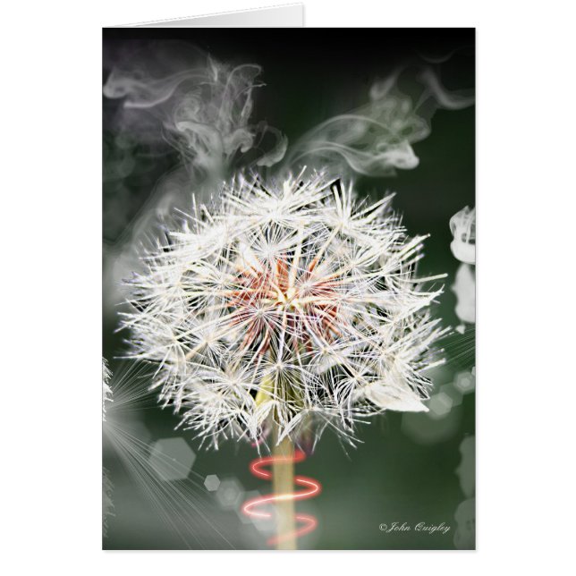 Dandelion Clock (Voorkant)