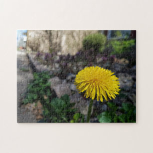 Dandelion créatif fleur photo puzzle puzzle