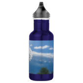 Dandelion Dans La Bouteille D'Eau Légère (Droite)