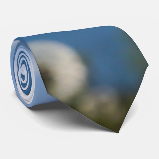 Dandelion Dans Le Cravate Léger (Roulé)