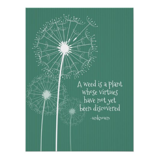Dandelion Design Poster Perfect Poster (Voorkant)