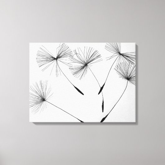 Dandelion Drawing Canvas Afdruk (Voorkant)