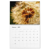 Dandelion Dreams Kalender (Feb 2027)