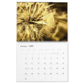Dandelion Dreams Kalender (Jan 2027)