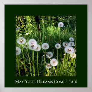 Dandelion Dreams wast botanisch Poster