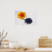 Dandelion en Shadow wapn Poster (Keuken)