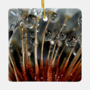 Dandelion en waterdruppels, CA Keramisch Ornament