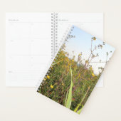 Dandelion Field Bokeh (Devant avec enveloppe)