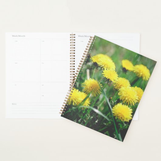 Dandelion Fleurs Dandelions Jaune Vert (Devant avec enveloppe)