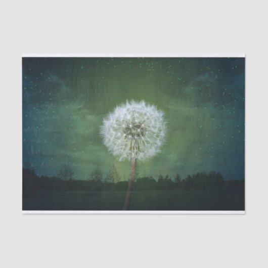 Dandelion Flower Fluff Starry Sky Art Tissuepapier (Voorkant)