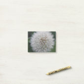 Dandelion Flower Post zaaien Post-it® Notes (Op bureau)