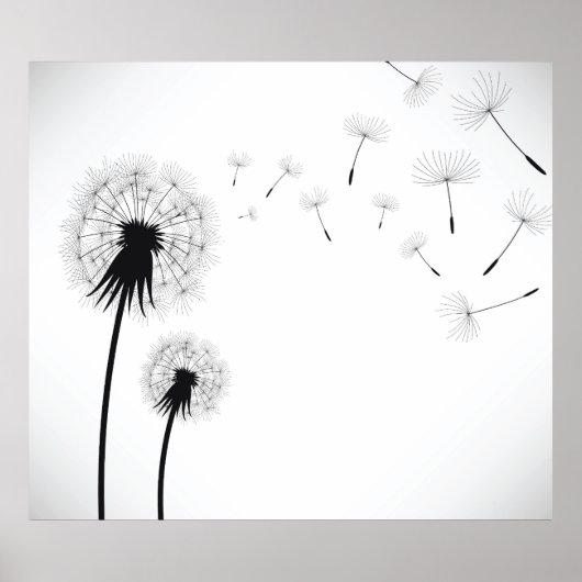 Dandelion Flower Poster (Voorkant)