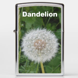 Dandelion Fluff