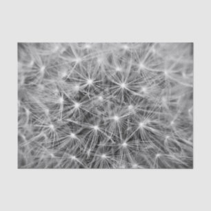 Dandelion Fluff Macro Tissuepapier