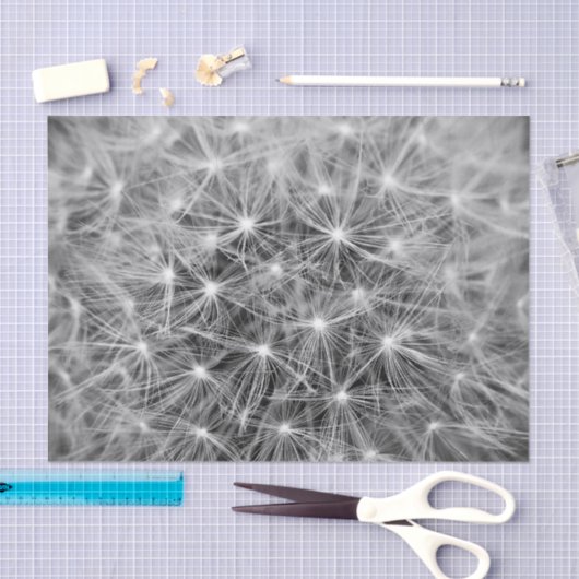 Dandelion Fluff Macro Tissuepapier (Craft)