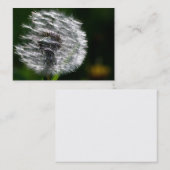 Dandelion Head Seed - Carte de visite (Devant / Derrière)
