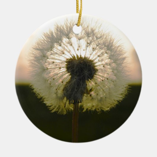 dandelion in de zon keramisch ornament (Voorkant)