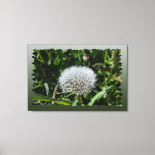 Dandelion in het gras canvas afdruk