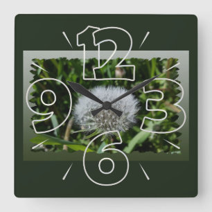 Dandelion in het gras vierkante klok