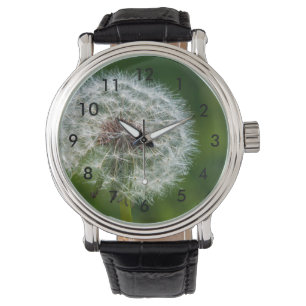 Dandelion in het licht horloge
