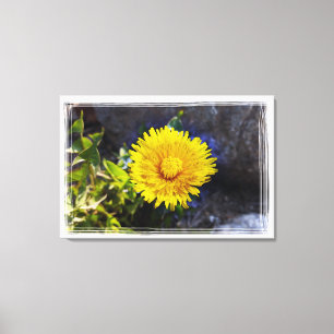 Dandelion in zonlicht canvas afdruk