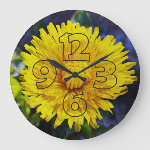 Dandelion in zonlicht grote klok